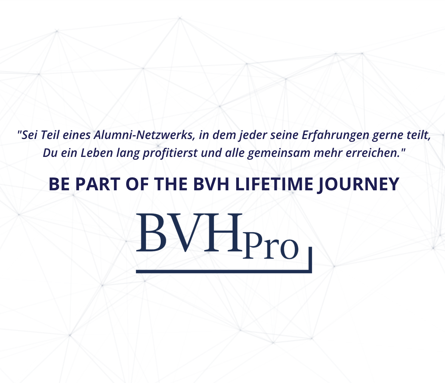 Co-CEO & Co-Founder, BVHPro, 2019 – 2022